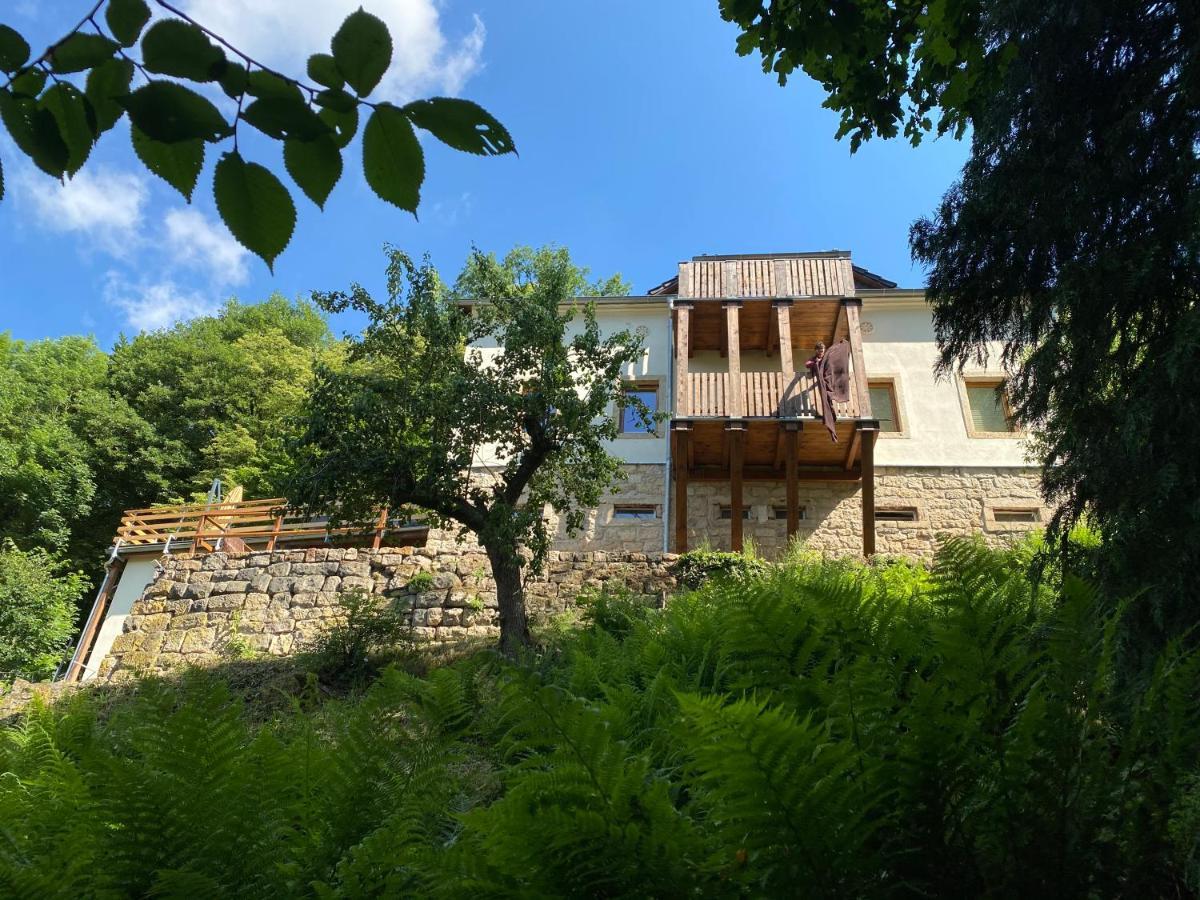 Luxusboofe - Ferienhaus Am Lilienstein Königstein an der Elbe Zewnętrze zdjęcie